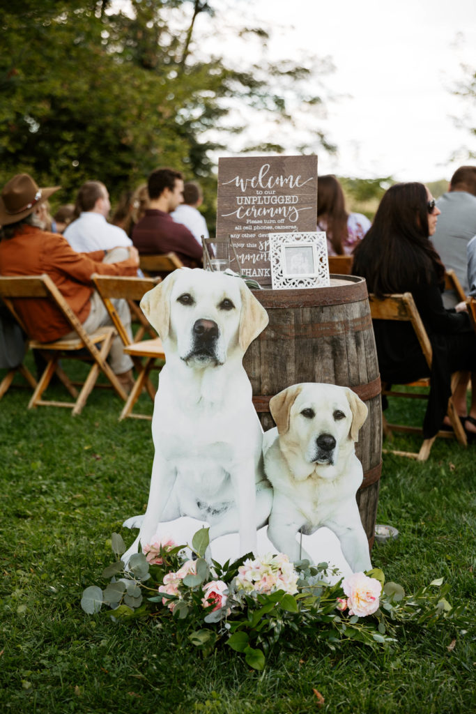 Dogs at wedding