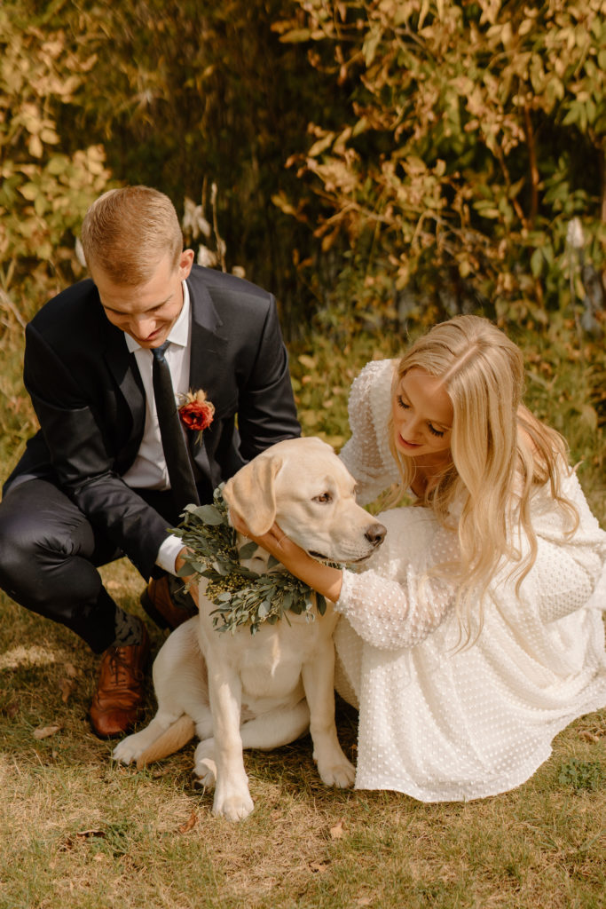 bride and groom with their dog at Quail Ridge Golf Club Wedding