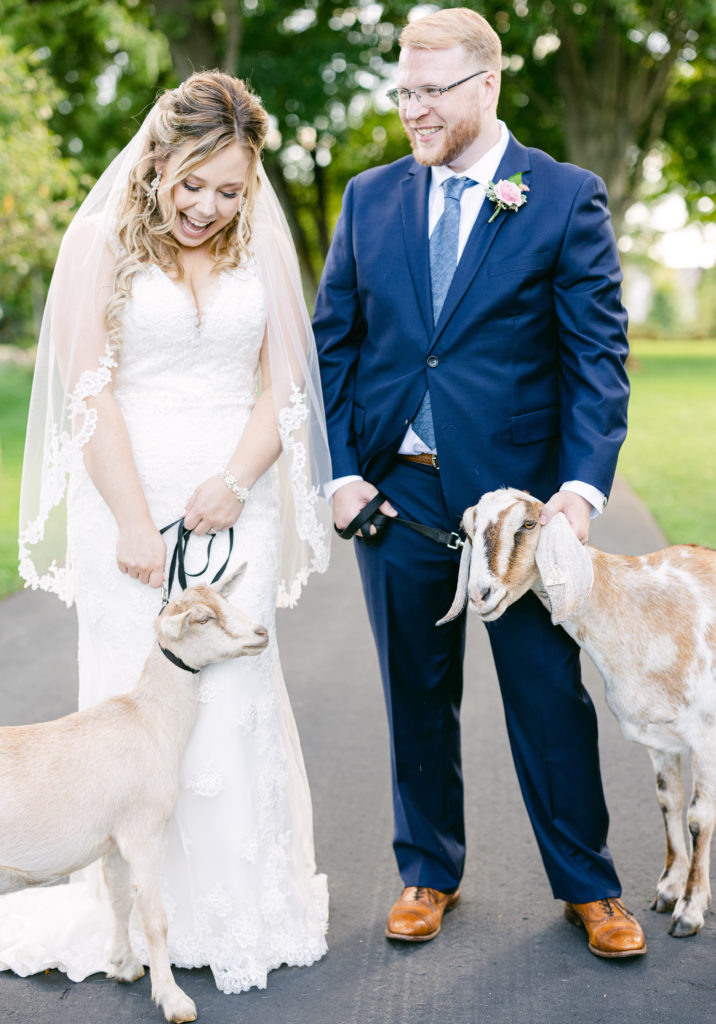 Zingerman's Cornman Farms Wedding goats