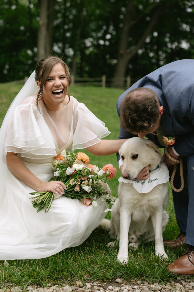 Dog portraits