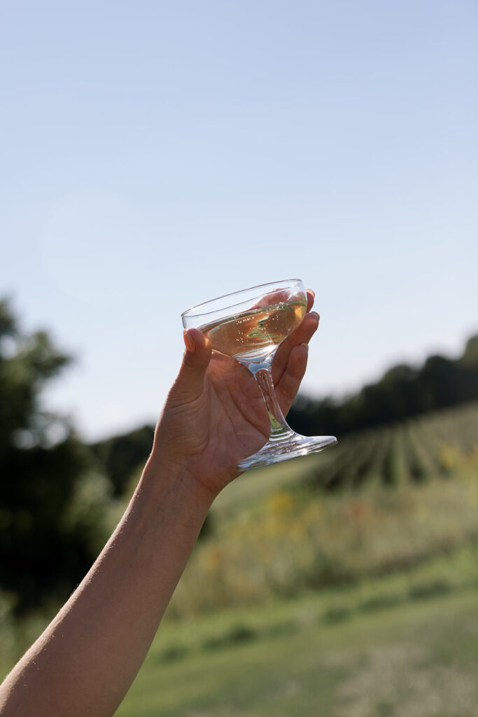Cheers, hidden vineyard wedding